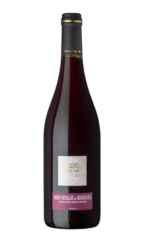Saint Nicolas de Bourgueil Marie Dupin