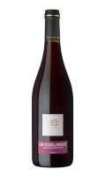 Saint Nicolas de Bourgueil Marie Dupin